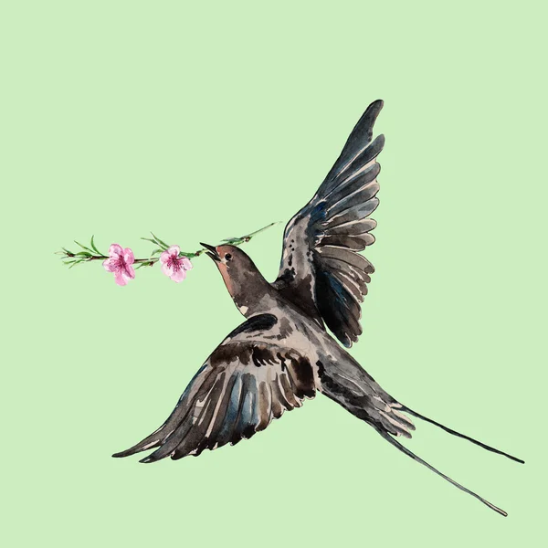 Vogel swallow en bloem perzik, aquarel, patroon — Stockfoto