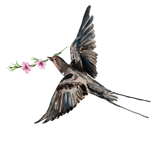 Aves tragar y flor melocotón, acuarela, patrón — Foto de Stock