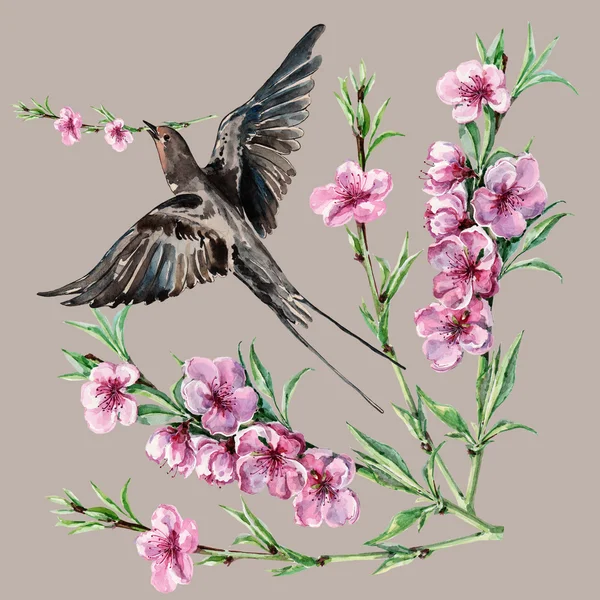 Kuş yutmak ve çiçek şeftali, suluboya, desen — Stok fotoğraf