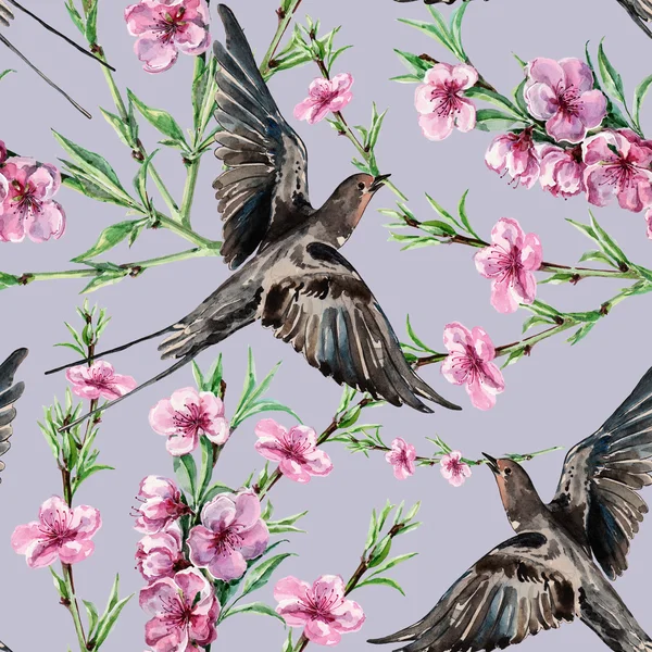 Kuş yutmak ve çiçek şeftali, suluboya, desen sorunsuz — Stok fotoğraf