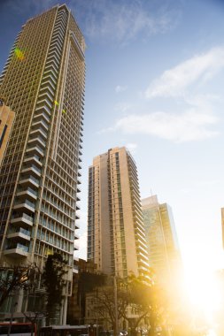 Tel Aviv, İsrail - Şubat, 2016: Rotschild bulvarında güzel güneşli cityscape. Şehir, en pahalı sokaklarda olmanın bir kentin ana turistik konumlar biridir.