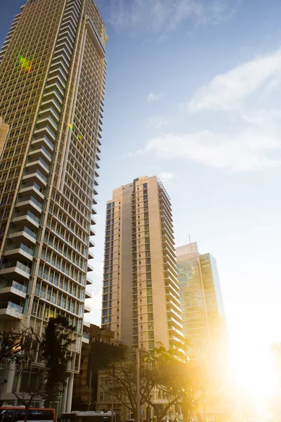 Tel Aviv, Izrael - únor, 2016: Krásné slunné panoráma na bulváru Rotschild. Je to jeden z nejdražších ulic ve městě, je jedním z městských hlavní turistické atrakce. — Stock fotografie