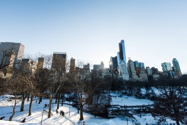 New York 'taki Central Park