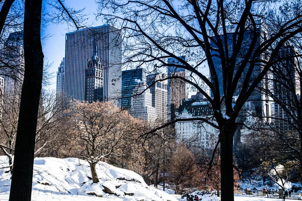 Central Park en Nueva York — Foto de Stock