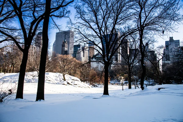 New York 'taki Central Park