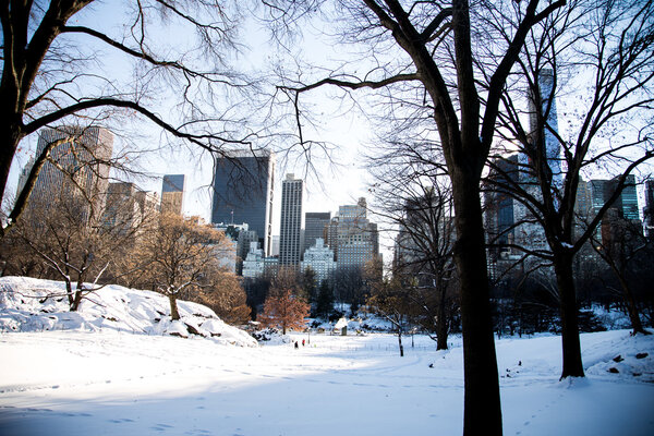 NEW YORK - January 25, 2014: View of Central Park in New York City