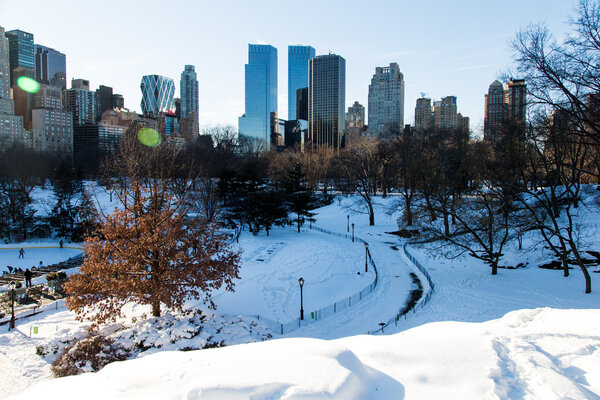 NEW YORK - January 25, 2014: View of Central Park in New York City