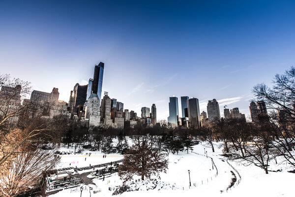 NEW YORK - January 25, 2014: View of Central Park in New York City