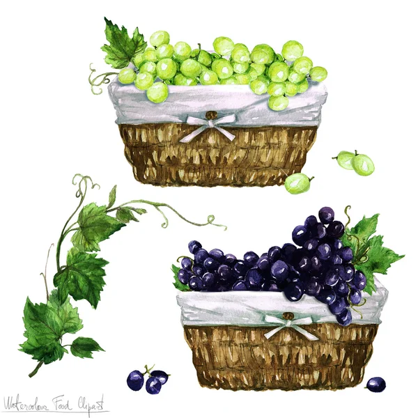 Продукты питания акварелью - Виноград корзины — стоковое фото
