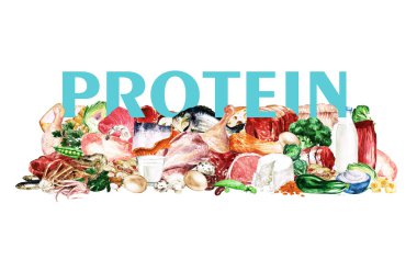 Suluboya gıda Clipart - sağlıklı dengeli beslenme - Protein grubu