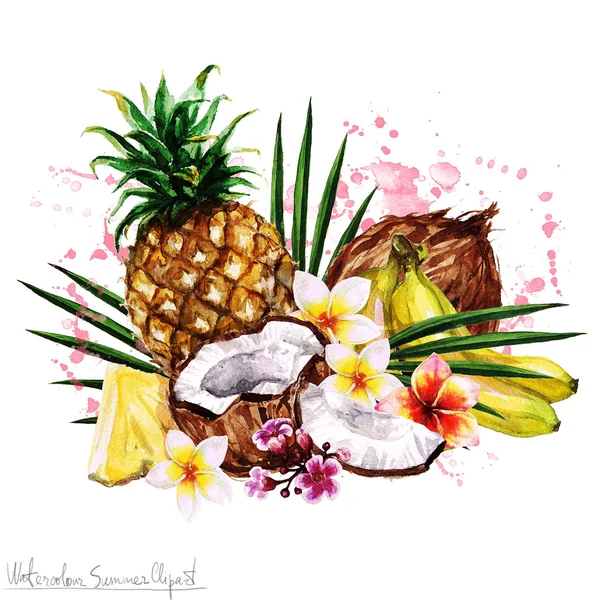 Akvarel letní Clipart - tropické ovoce — Stock fotografie