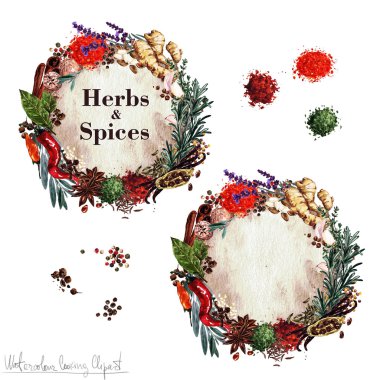 Suluboya yemek Clipart - 'Otlar ve baharatlar' etiketleri ayarla. İzole