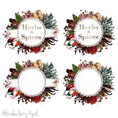 Suluboya yemek Clipart - 'Otlar ve baharatlar' etiketleri ayarla. İzole