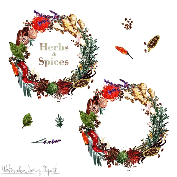 Watercolor Cooking Clipart - Set of 'Herbs and Spices' labels. Isolated — Stock Photo, Image