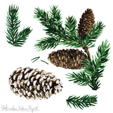 Sulu Boya doğa Clipart - çam