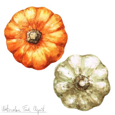 Suluboya gıda Clipart - kabak