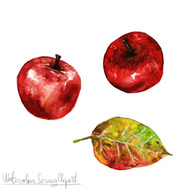 Sulu Boya doğa Clipart - Kırmızı elma