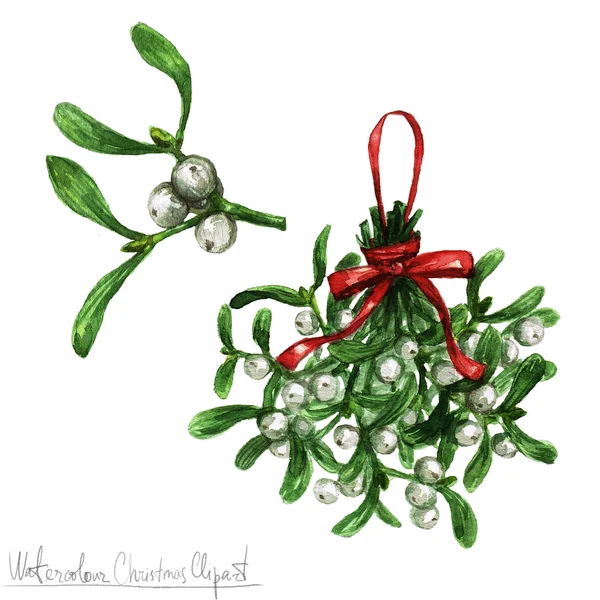 Clipart de Noël aquarelle - Mistletoe — Photo