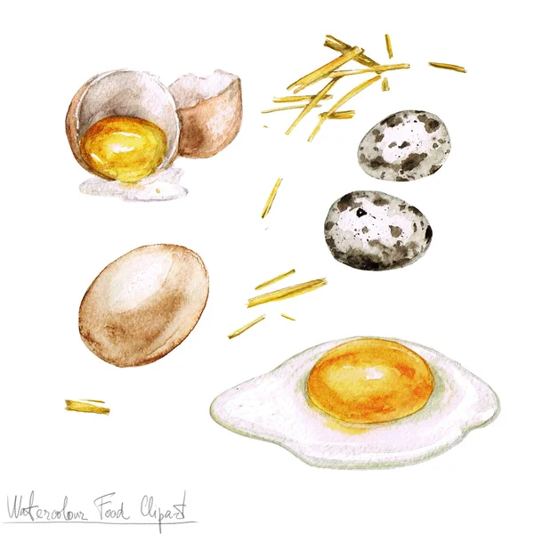 클립 아트-계란 요리 수채화 — 스톡 사진