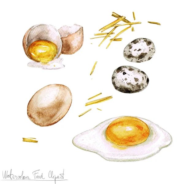 Watercolor Cooking Clipart - Eggs Royalty Free Stock Photos