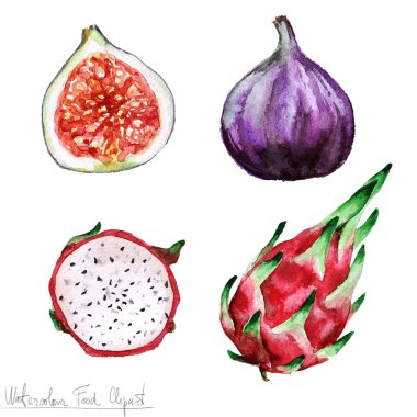 Suluboya gıda Clipart - Pitaya ve incir