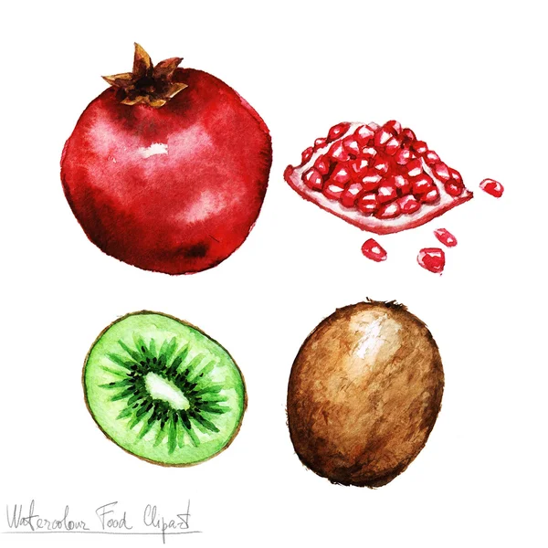 Clipart de comida aquarela - Romã e Kiwi — Fotografia de Stock