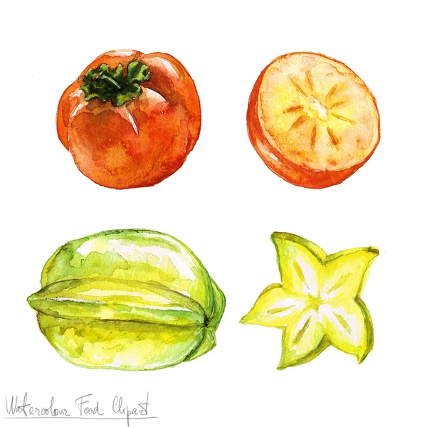 水彩食べ物クリップアート - 柿とゴレンシ — ストック写真