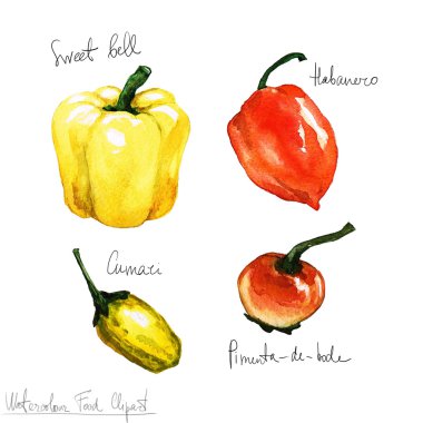 Watercolor Food Clipart - Peppers clipart