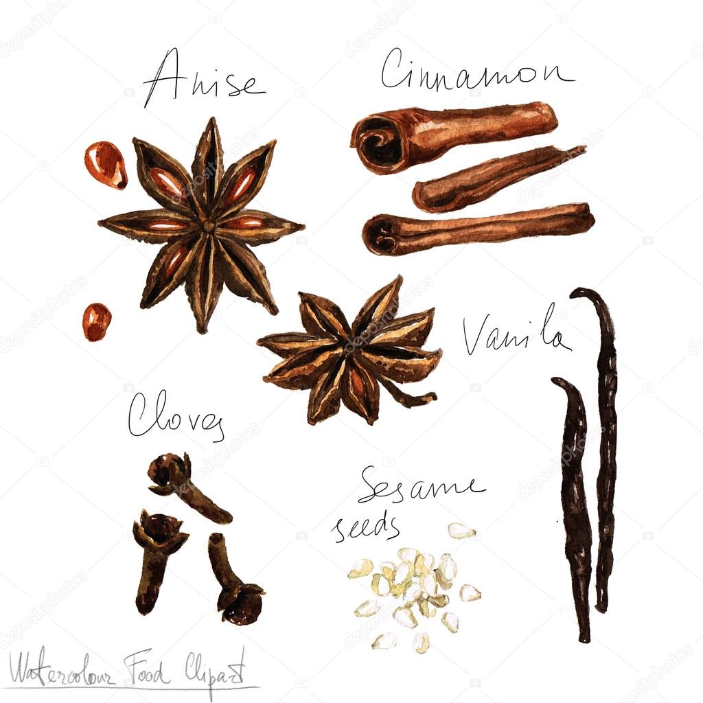 Watercolor Food Clipart - Spices