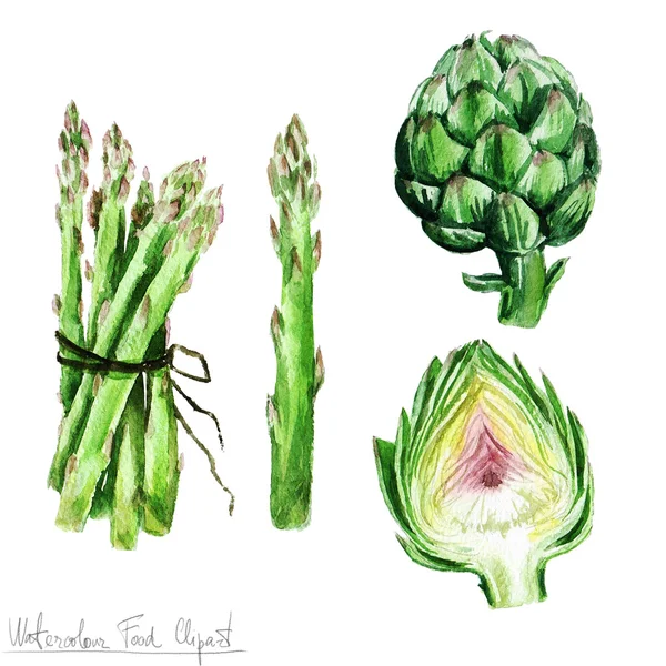 Akvarel potravin kliparty - chřest a Artyčok — Stock fotografie