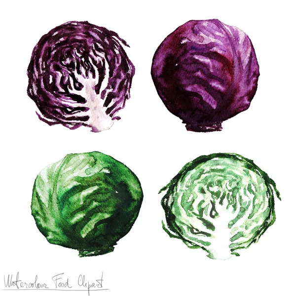 Aquarel voedsel Clipart - kool — Stockfoto