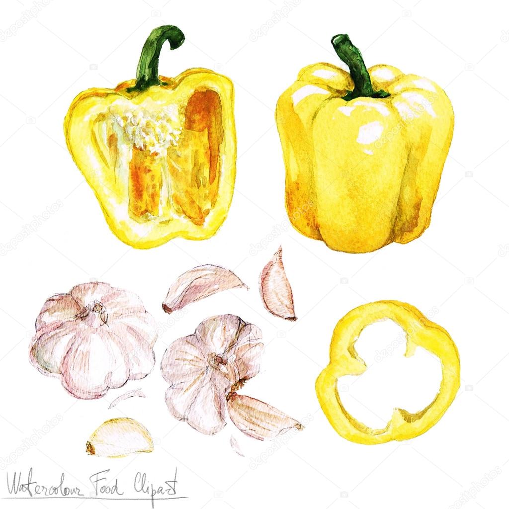 Watercolor Food Clipart - Bell Pepper and Garlic