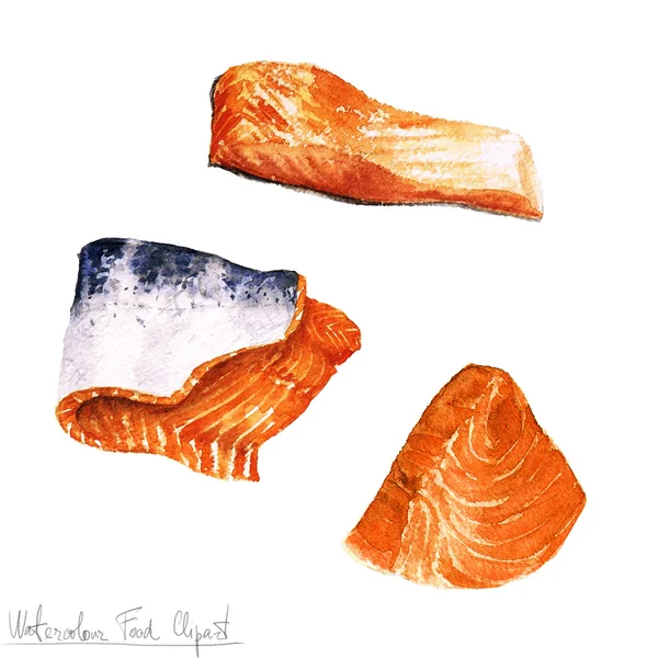 Acquerello Food Clipart - Filetto di salmone — Foto Stock