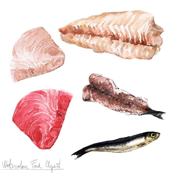 Clipart de comida aquarela - Filé de peixe — Fotografia de Stock