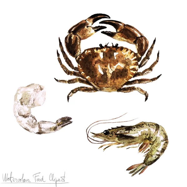 Watercolor Food Clipart - Crab and Shrimp — Stock Photo, Image