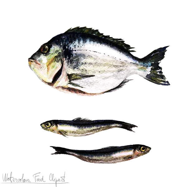 Clipart de comida aquarela - Peixe — Fotografia de Stock