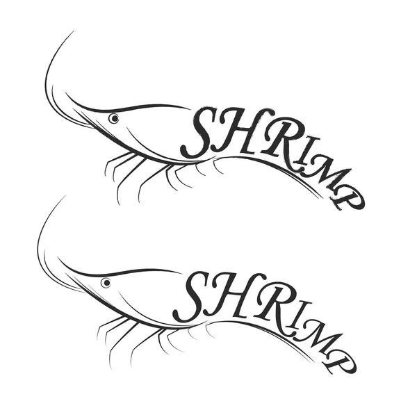 Logo crevettes. Croquis vectoriel de crevettes pour votre conception . — Image vectorielle