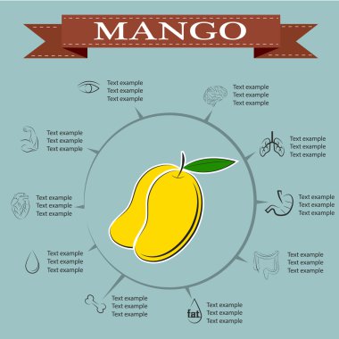 Mango Infographics, meyve. vektör çizim