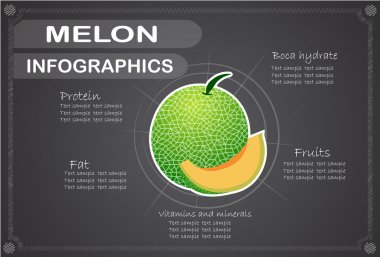 kavun karpuz, infographics. meyve vektör çizim