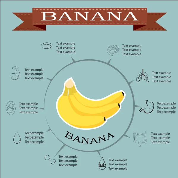 Banane, Infografiken. Fruchtvektorillustration — Stockvektor