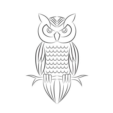 Beyaz arkaplanda baykuş vektör tasarımı