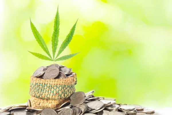 Money Concept Marijuana Coins Green Light Bokeh Nature Background — Stock Photo, Image