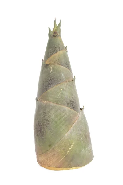 Brote Bambú Sobre Fondo Blanco — Foto de Stock