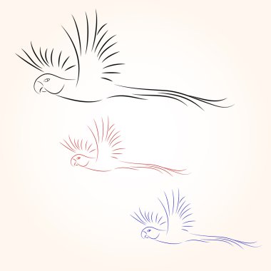 Beyaz arka planda kuş