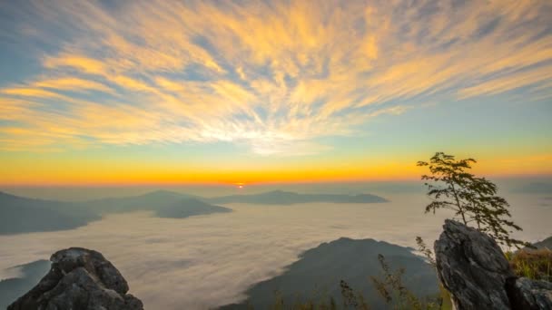 Mar de niebla en Doi Pha Tang, Chiangrai, Tailandia . — Vídeos de Stock