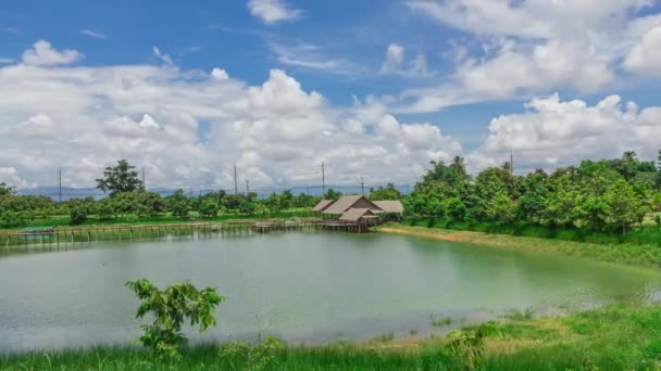 Park w Tajlandii — Wideo stockowe