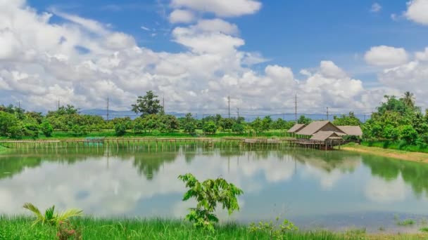 Wasserpark in Thailand. — Stockvideo