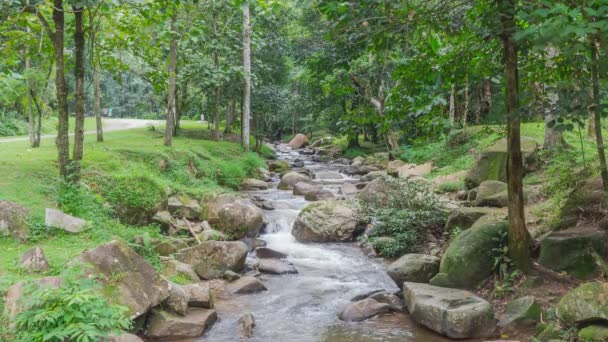 Водопад в национальном парке Doi Inthanon, Чиангмай, Таиланд — стоковое видео