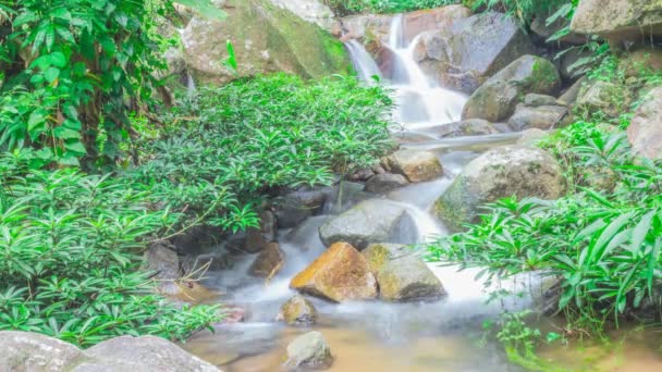 Vodopád v Doi Inthanon národní park, Chiang Mai, Thajsko — Stock video
