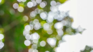 ufuk yeşil arka plan